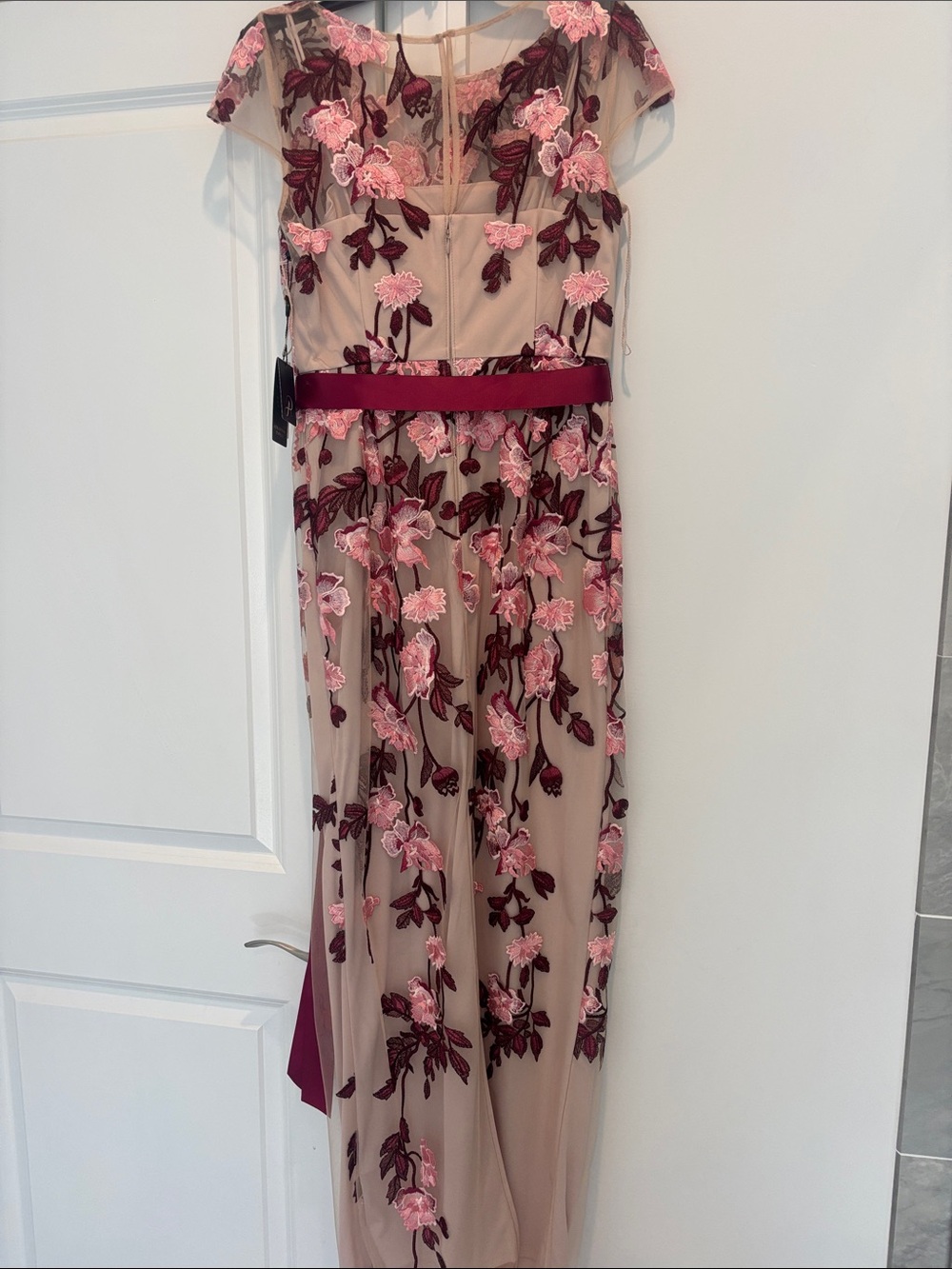 Adrianna Papell Blush Maxi Dress with Pink and Burgundy Floral Embroidery - Picture 4 of 4